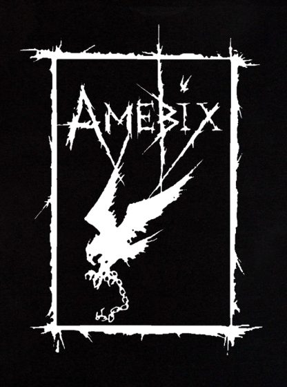 Amebix Hoodie - Image 2