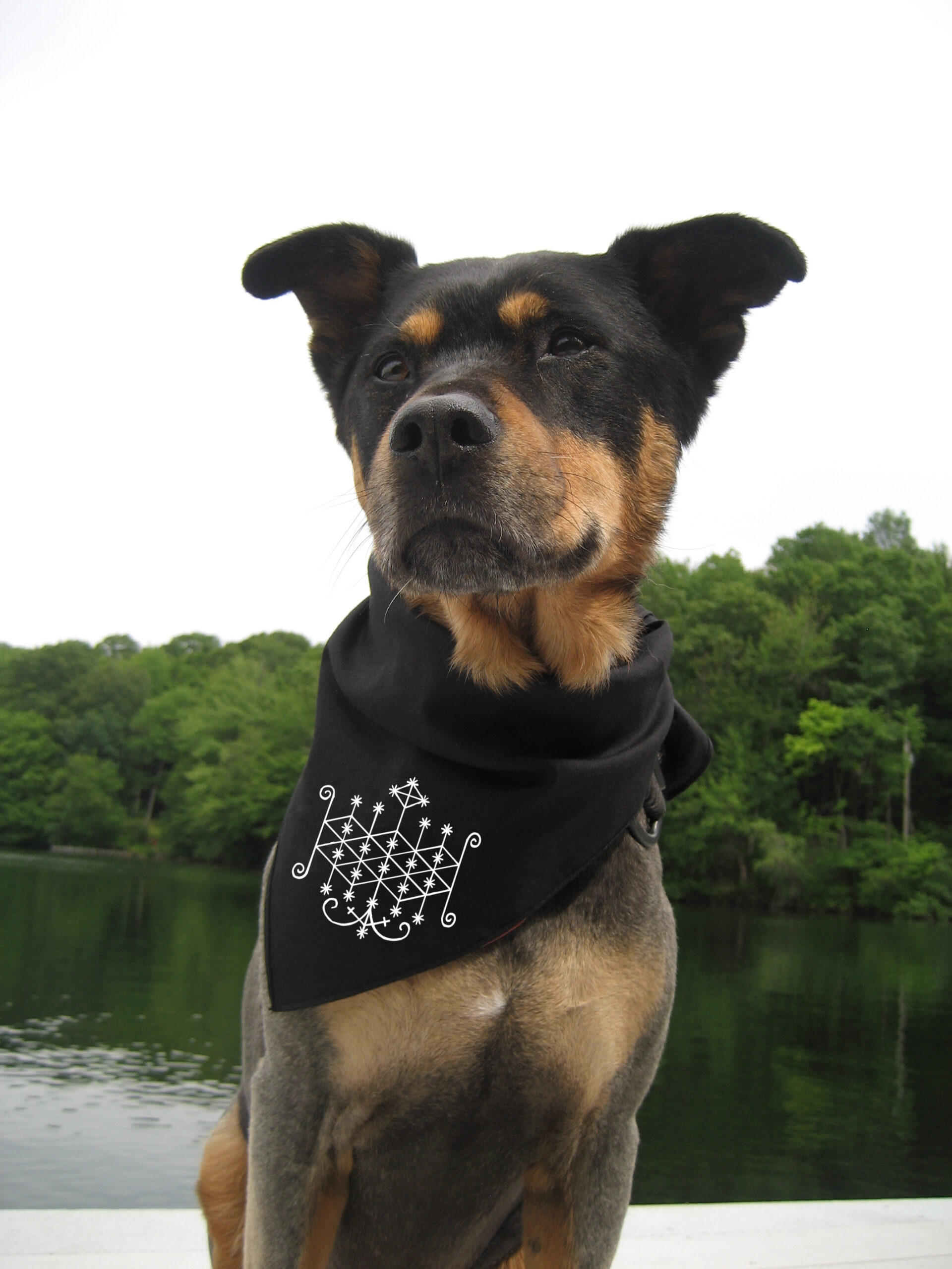 Ogoun Voodoo Veve Bandanna - Image 2